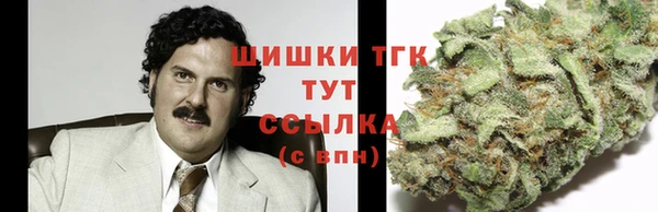 mix Белокуриха
