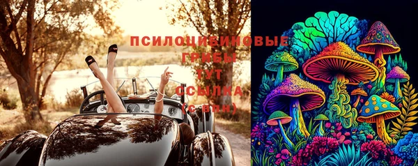 прущий лед Богородск