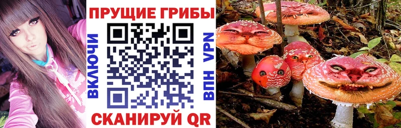 Псилоцибиновые грибы прущие грибы  Малая Вишера 